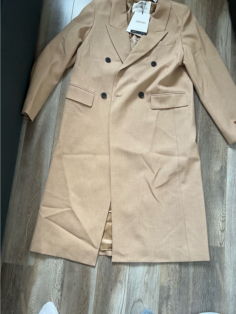 Aritzia Babaton The Constant™ Coat